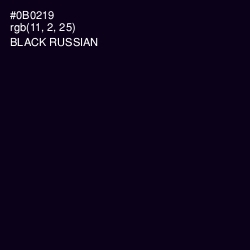 #0B0219 - Black Russian Color Image