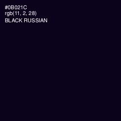 #0B021C - Black Russian Color Image