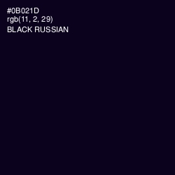 #0B021D - Black Russian Color Image