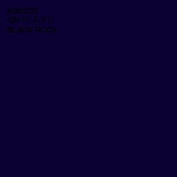 #0B0233 - Black Rock Color Image