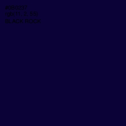 #0B0237 - Black Rock Color Image