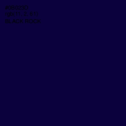 #0B023D - Black Rock Color Image