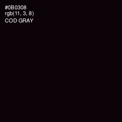 #0B0308 - Cod Gray Color Image