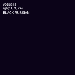 #0B0318 - Black Russian Color Image