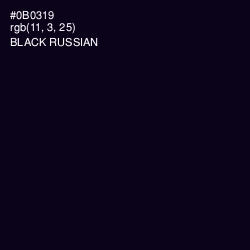 #0B0319 - Black Russian Color Image