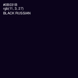 #0B031B - Black Russian Color Image