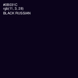 #0B031C - Black Russian Color Image