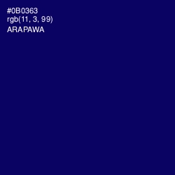#0B0363 - Arapawa Color Image