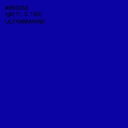 #0B03A3 - Ultramarine Color Image