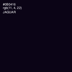 #0B0416 - Jaguar Color Image