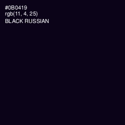 #0B0419 - Black Russian Color Image