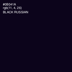 #0B041A - Black Russian Color Image