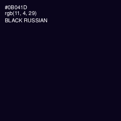 #0B041D - Black Russian Color Image