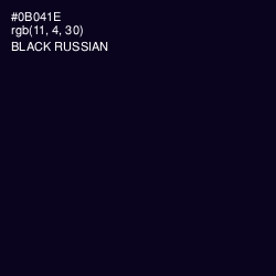 #0B041E - Black Russian Color Image