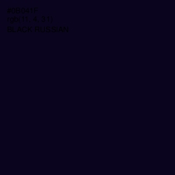 #0B041F - Black Russian Color Image