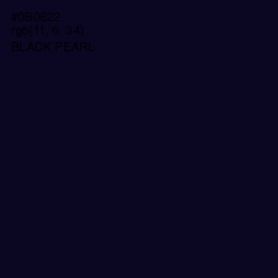 #0B0622 - Black Pearl Color Image