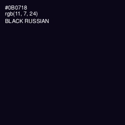 #0B0718 - Black Russian Color Image