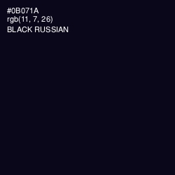 #0B071A - Black Russian Color Image