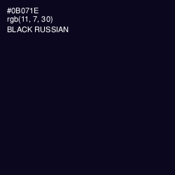 #0B071E - Black Russian Color Image