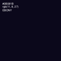 #0B081B - Ebony Color Image