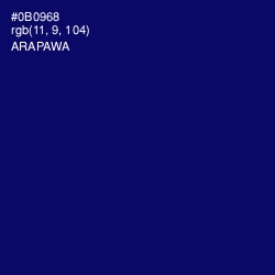 #0B0968 - Arapawa Color Image