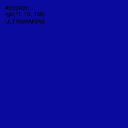 #0B0A9E - Ultramarine Color Image