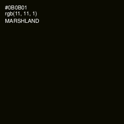 #0B0B01 - Marshland Color Image