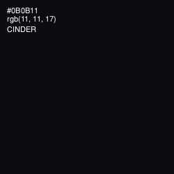 #0B0B11 - Cinder Color Image