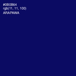 #0B0B64 - Arapawa Color Image