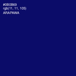 #0B0B69 - Arapawa Color Image