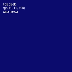 #0B0B6D - Arapawa Color Image