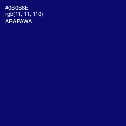 #0B0B6E - Arapawa Color Image