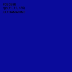 #0B0B9B - Ultramarine Color Image