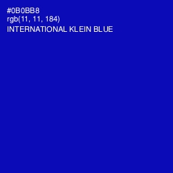 #0B0BB8 - International Klein Blue Color Image