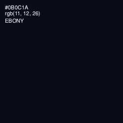 #0B0C1A - Ebony Color Image