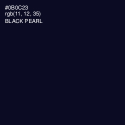 #0B0C23 - Black Pearl Color Image