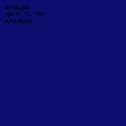 #0B0C6D - Arapawa Color Image