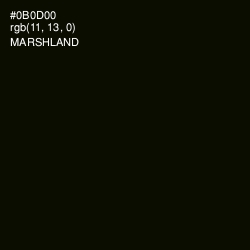 #0B0D00 - Marshland Color Image