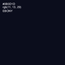#0B0D1D - Ebony Color Image