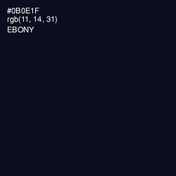 #0B0E1F - Ebony Color Image