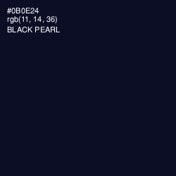 #0B0E24 - Black Pearl Color Image