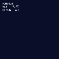 #0B0E28 - Black Pearl Color Image
