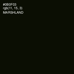 #0B0F03 - Marshland Color Image