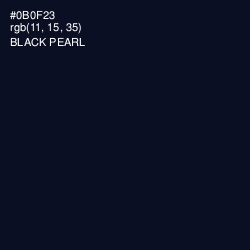 #0B0F23 - Black Pearl Color Image