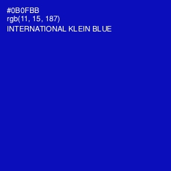 #0B0FBB - International Klein Blue Color Image