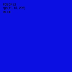 #0B0FE2 - Blue Color Image