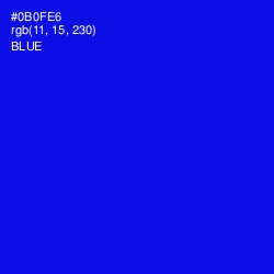 #0B0FE6 - Blue Color Image