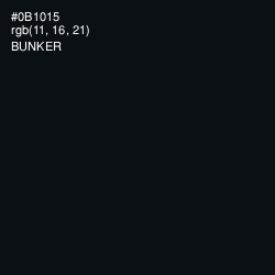 #0B1015 - Bunker Color Image