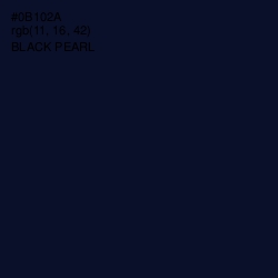 #0B102A - Black Pearl Color Image