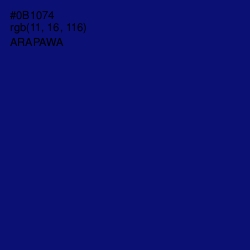 #0B1074 - Arapawa Color Image